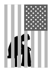 Prison Nation