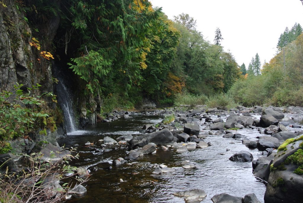 The site near the headwaters of the Chehalis River that is considered a possibility for construction of a new dam.
