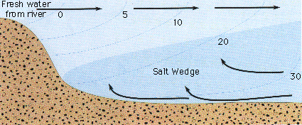 A diagram illustrating the principle of a 'salt wedge'. Author unknown.